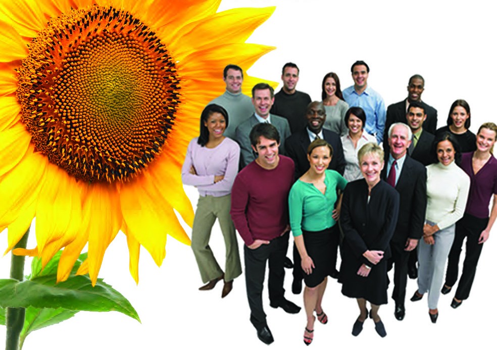 sunflower-group-image