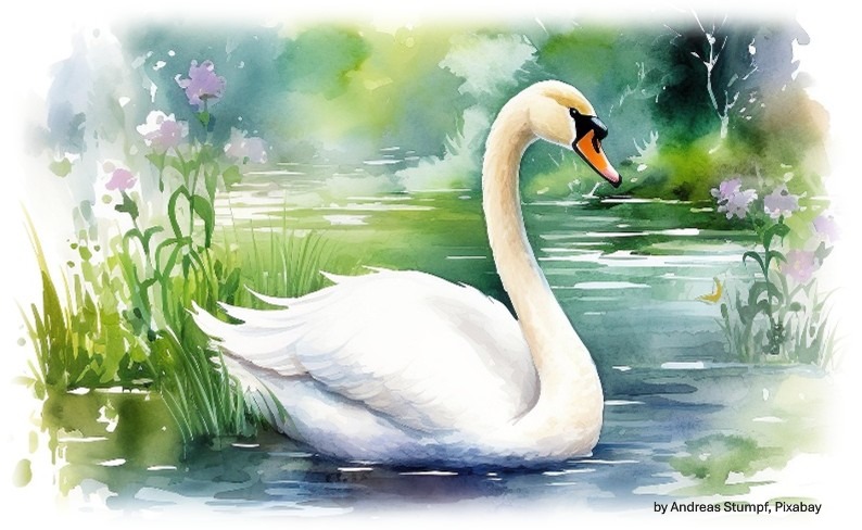 swan in nature by Andreas Stumpf, Pixabay