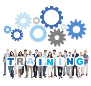 training image